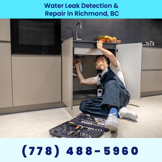 Leak Repair Services in Richmond